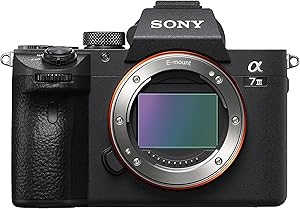 Sony a7 III Full-Frame Mirrorless Camera Review