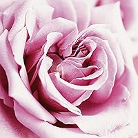 Paul Sebastian Casual Women's Eau de Parfum, 4oz — image 6