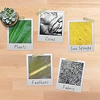 Plugable USB2-MICRO-250X Digital Microscope — image 6