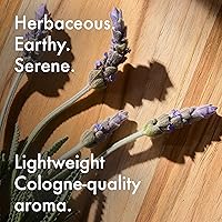 The Art of Shaving Lavender Shaving Cream 5 Fl Oz — image 6