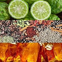 Calvin Klein Obsession Eau de Parfum 50mL — image 5