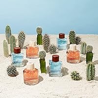 Hollister Canyon Escape Men EDT Spray 3.4 oz — image 4