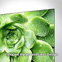 TCL 50-Inch Class S4 4K LED Smart TV (50S450G, 2023) — image 11