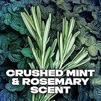 AXE Phoenix Body Spray Deodorant 4oz 4 Count — image 6