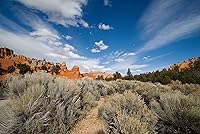 Tamron 10-24mm f/3.5-4.5 SP Di II LD Aspherical (IF) Lens for Nikon — image 2